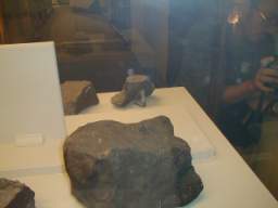Murchison Chicago Field museum collection .jpg
